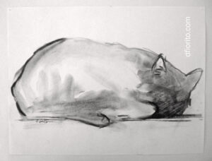 Le chat de la rue Hutchison, 1998